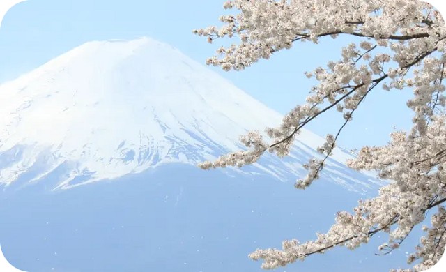 ふじざくら命水の特徴